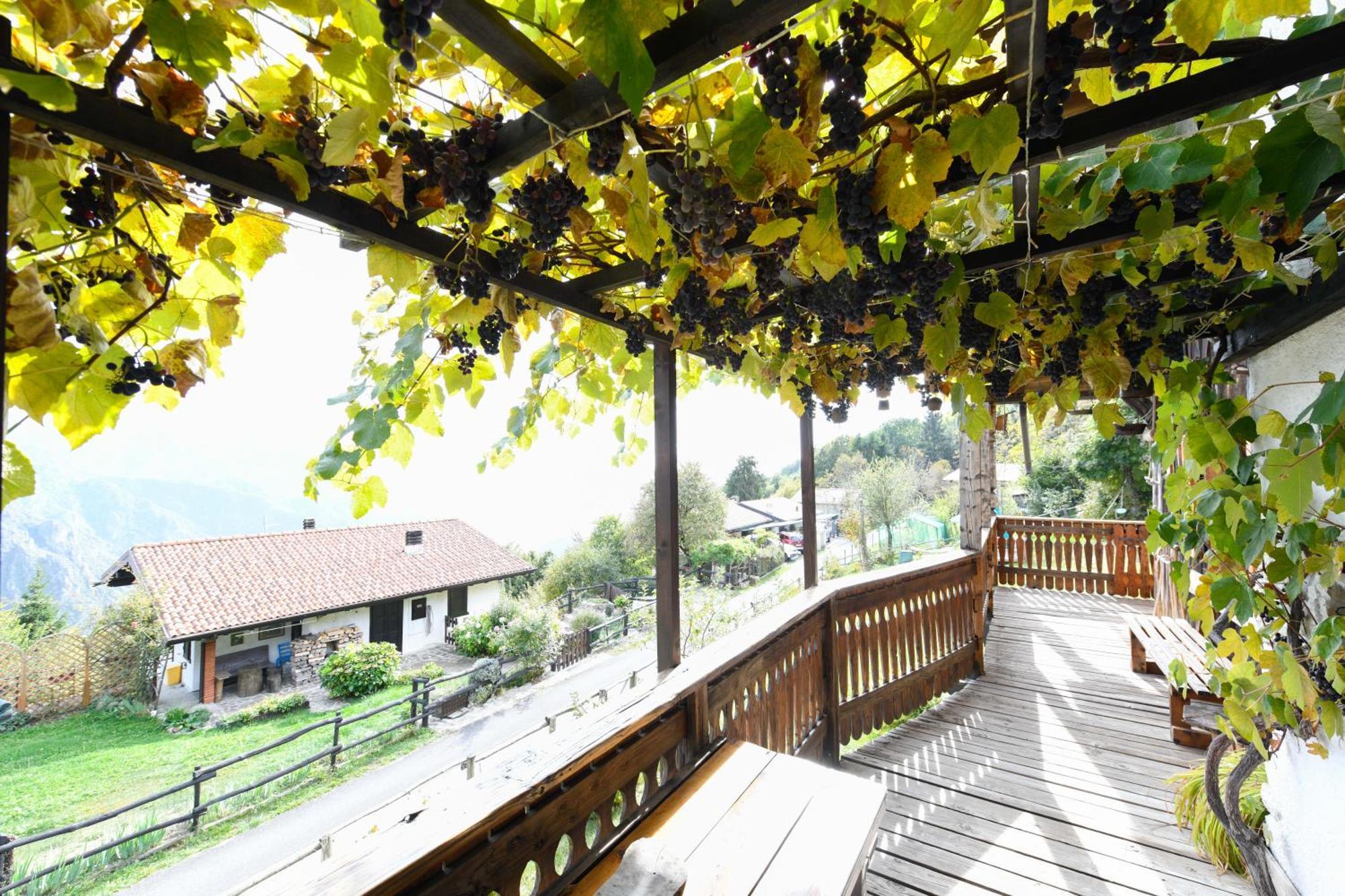 Crone Chalet "Baita Cavacca" מראה חיצוני תמונה